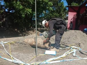Komunidade Kuluhun Hetan Bomba Segunda Guerra Mundiál Ida, Ekipa EOD Destroi Iha Kaitehu